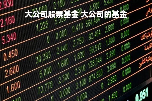 大公司股票基金 大公司的基金