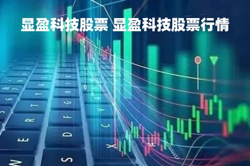 显盈科技股票 显盈科技股票行情