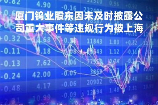 厦门钨业股东因未及时披露公司重大事件等违规行为被上海证券交易所采取监管措施