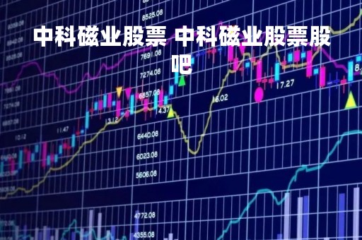 中科磁业股票 中科磁业股票股吧