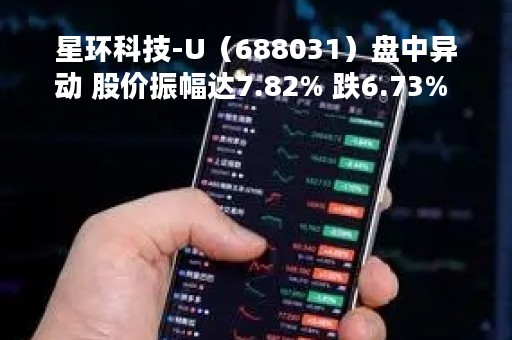 星环科技-U（688031）盘中异动 股价振幅达7.82% 跌6.73% 报133元（05-09）