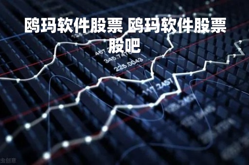 鸥玛软件股票 鸥玛软件股票股吧