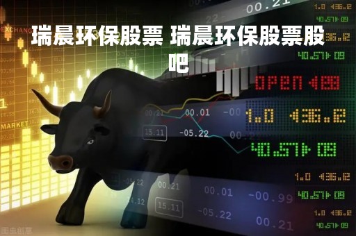 瑞晨环保股票 瑞晨环保股票股吧