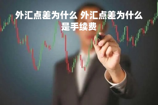 外汇点差为什么 外汇点差为什么是手续费