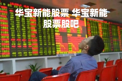 华宝新能股票 华宝新能股票股吧