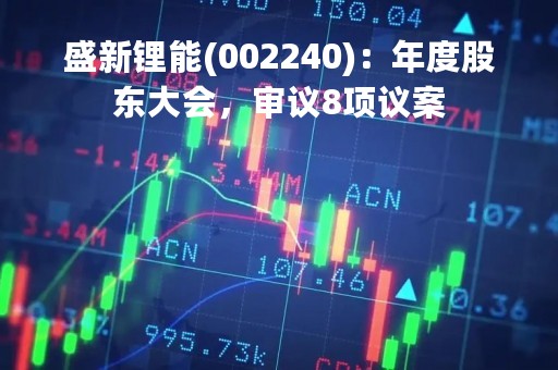 盛新锂能(002240)：年度股东大会，审议8项议案