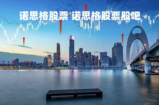 诺思格股票 诺思格股票股吧