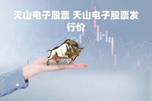 天山电子股票 天山电子股票发行价