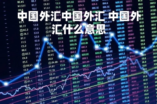 中国外汇中国外汇 中国外汇什么意思