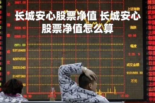 长城安心股票净值 长城安心股票净值怎么算