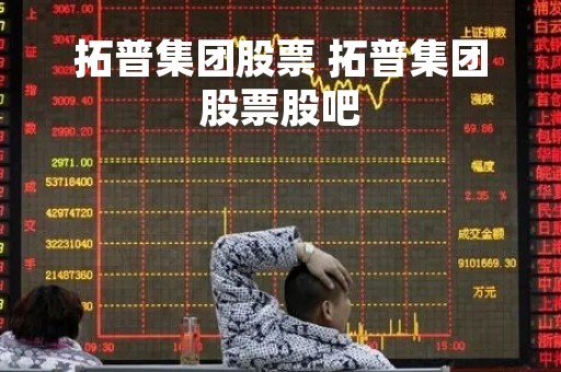 拓普集团股票 拓普集团股票股吧