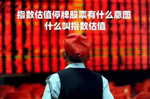 指数估值停牌股票有什么意图 什么叫指数估值