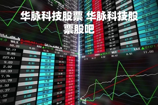 华脉科技股票 华脉科技股票股吧