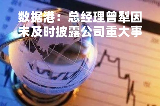 数据港：总经理曾犁因未及时披露公司重大事件等违规行为被上海证券交易所公开谴责
