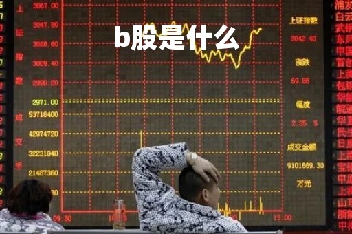 b股是什么