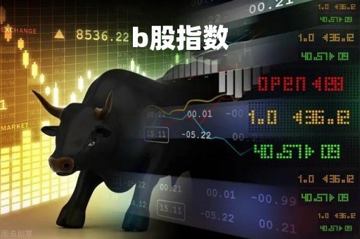 b股指数