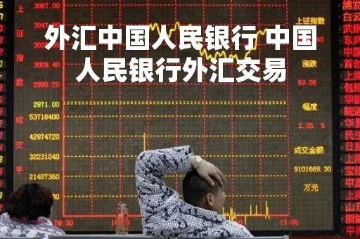 外汇中国人民银行 中国人民银行外汇交易