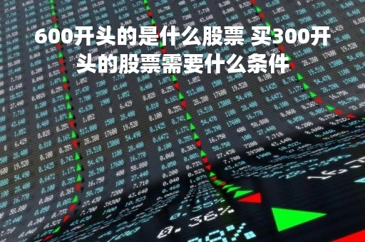600开头的是什么股票 买300开头的股票需要什么条件