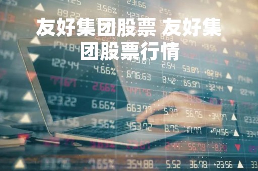 友好集团股票 友好集团股票行情