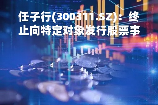 任子行(300311.SZ)：终止向特定对象发行股票事项