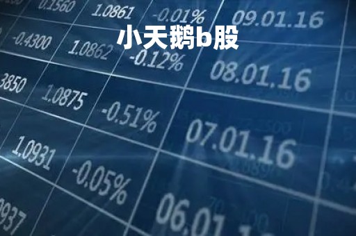 小天鹅b股