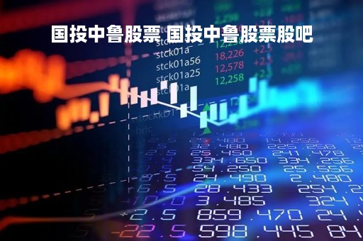 国投中鲁股票 国投中鲁股票股吧