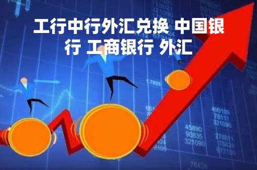 工行中行外汇兑换 中国银行 工商银行 外汇