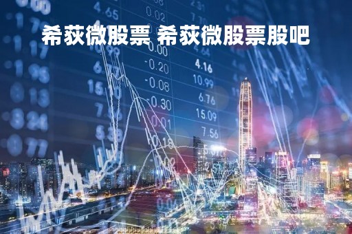 希荻微股票 希荻微股票股吧