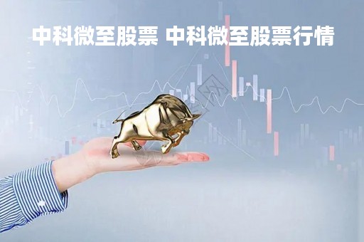 中科微至股票 中科微至股票行情