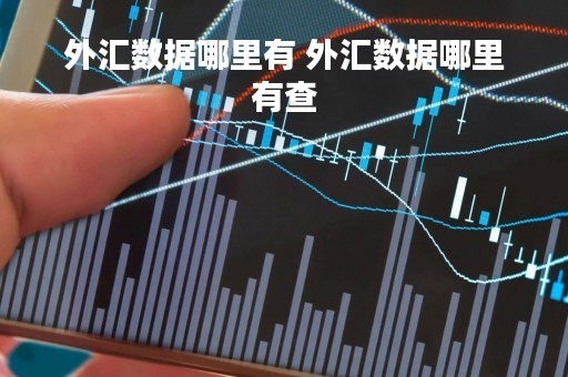 外汇数据哪里有 外汇数据哪里有查
