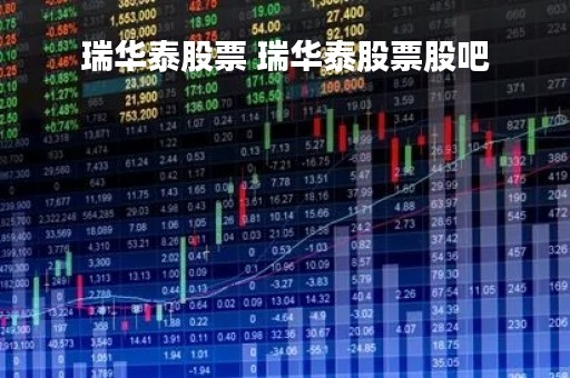 瑞华泰股票 瑞华泰股票股吧
