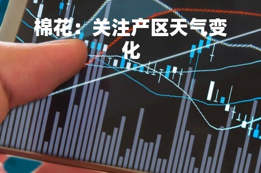 棉花：关注产区天气变化