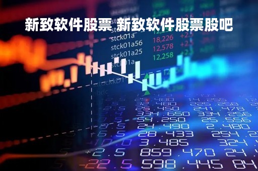 新致软件股票 新致软件股票股吧