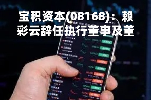 宝积资本(08168)：赖彩云辞任执行董事及董事会主席