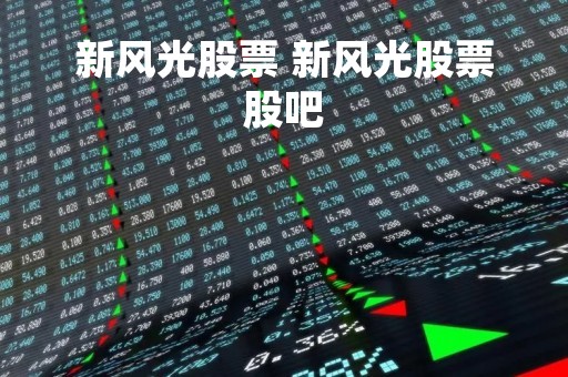 新风光股票 新风光股票股吧