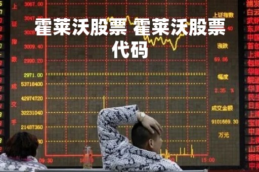 霍莱沃股票 霍莱沃股票代码