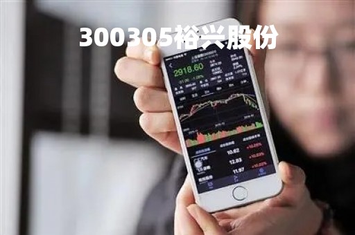 300305裕兴股份