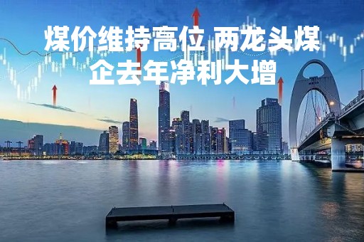 煤价维持高位 两龙头煤企去年净利大增