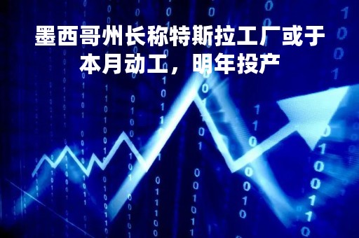 墨西哥州长称特斯拉工厂或于本月动工，明年投产