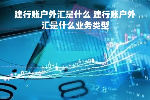 建行账户外汇是什么 建行账户外汇是什么业务类型